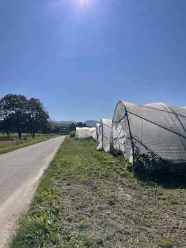 Himtunnel